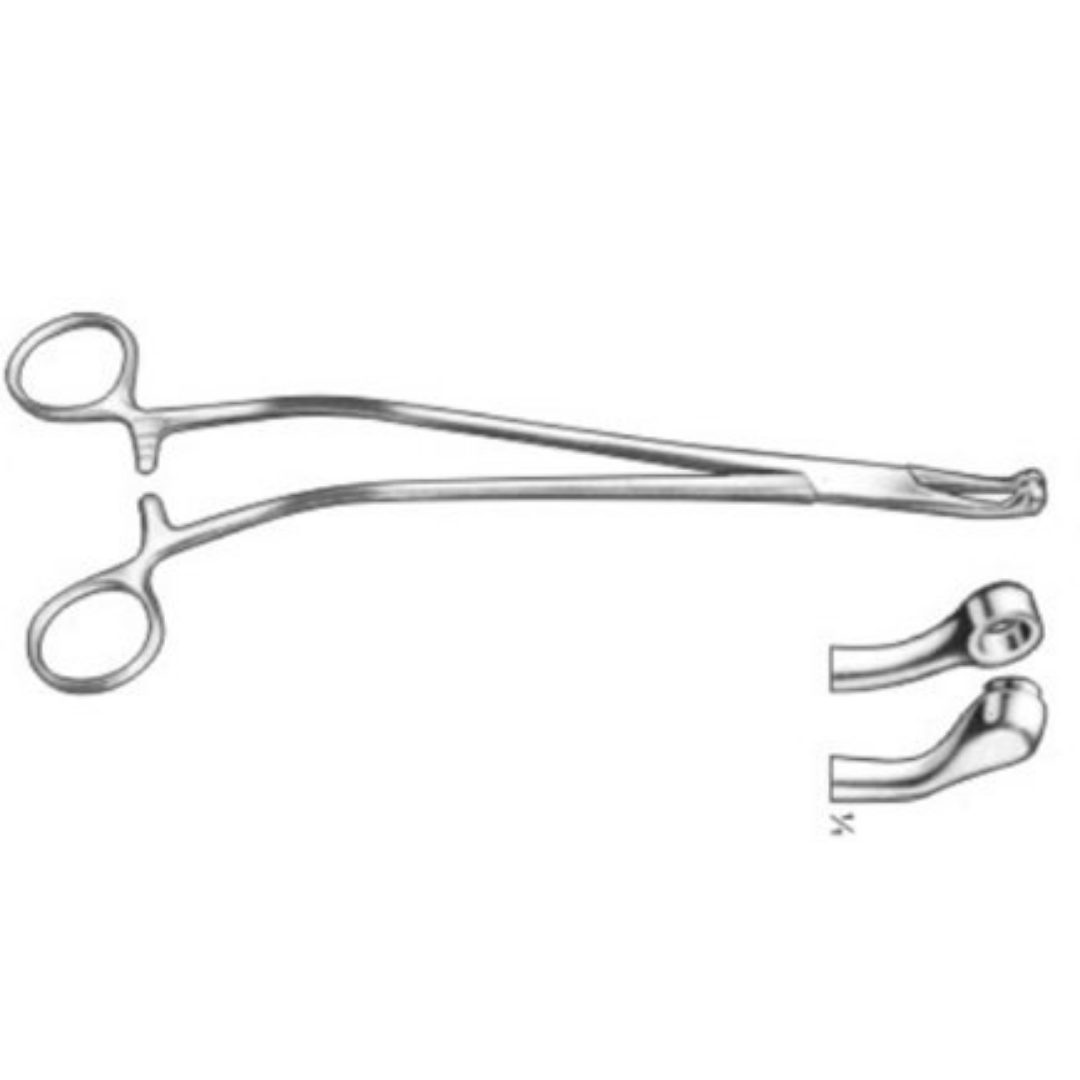 Pinza para Biopsia Thomas Gaylor