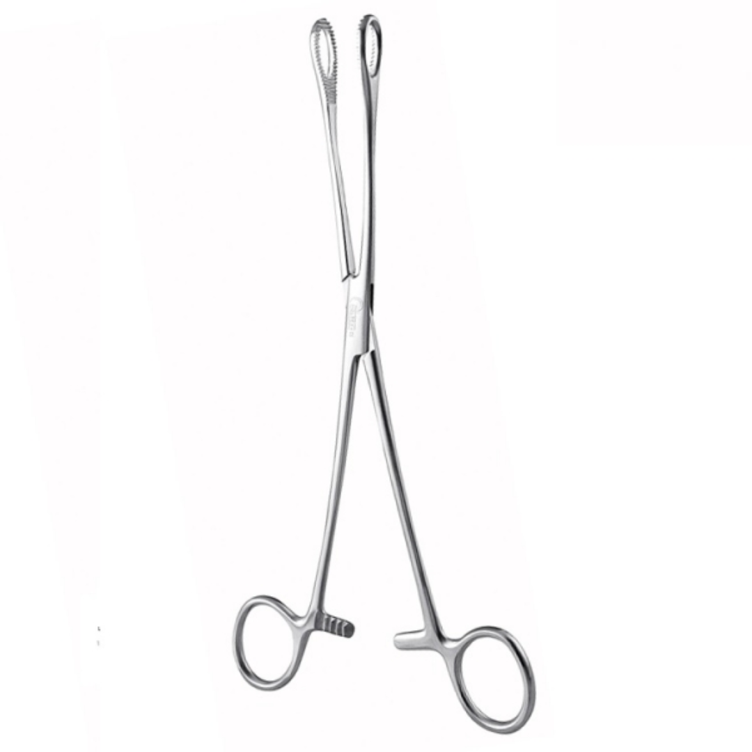 Pinza de aro recta (Foerster) 24CM / LI-PA024