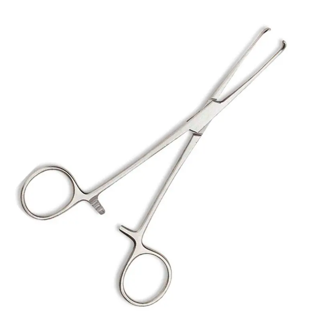 Pinza Di Allis - AC13.050.16 - Acquista Pinze Chirurgiche Pinze Pinze Emostatiche Online - Identici Store - Foto 3