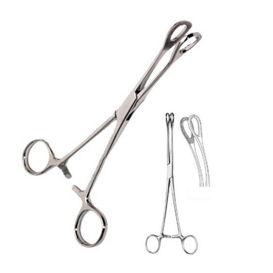 Pinza de Aro Foerster Curva 20cm