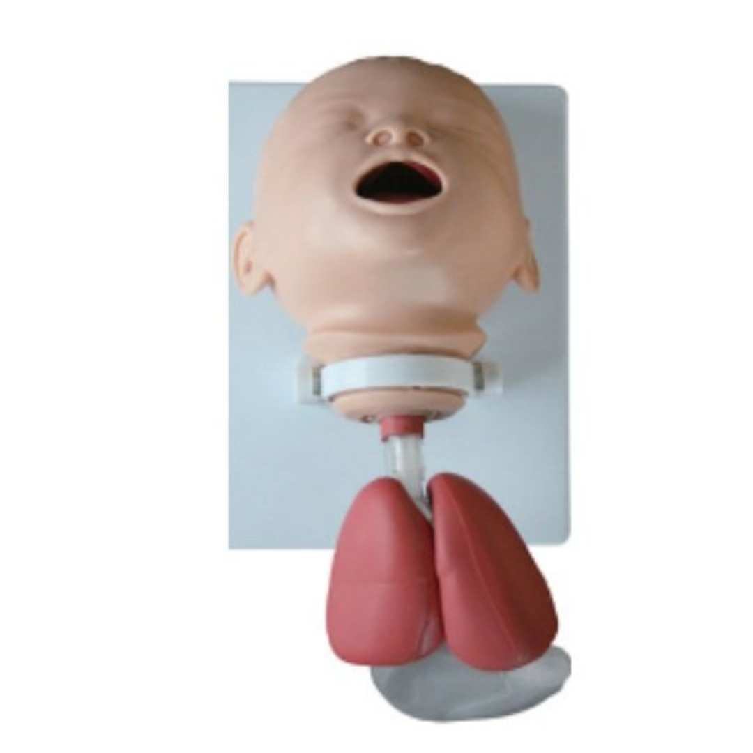 MODELO SIMULADOR DE ENTRENAMIENTO PARA INTUBACIÓN INFANTIL | MANIQUÍ PEDIÁTRICO PARA MANEJO DE LA VÍA AÉREA