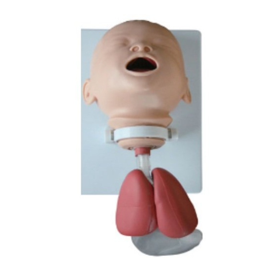 MODELO SIMULADOR DE ENTRENAMIENTO PARA INTUBACIÓN INFANTIL | MANIQUÍ PEDIÁTRICO PARA MANEJO DE LA VÍA AÉREA