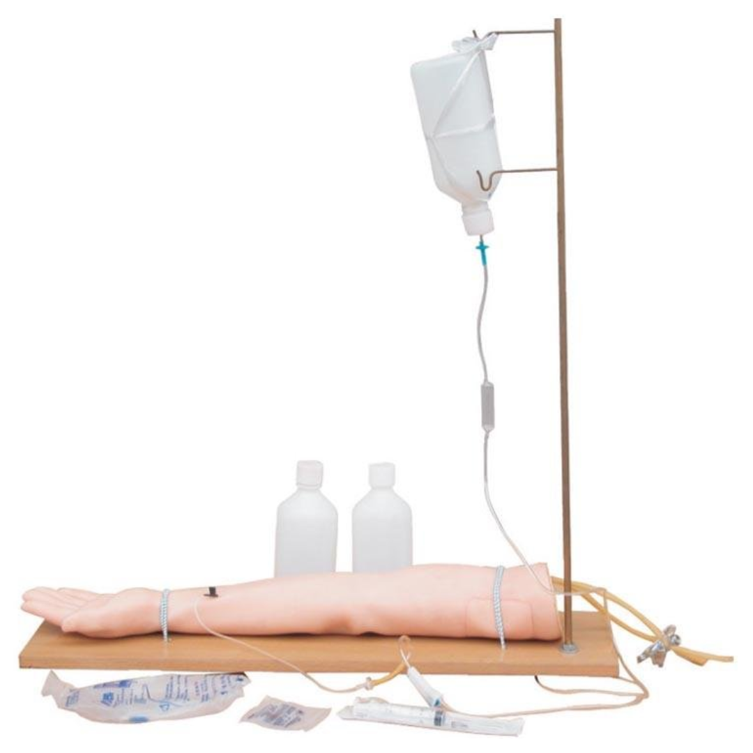 Modelo de Brazo Inyectable con Soporte | Simulador para Venopunción, Inyección Intravenosa y Extracción de Sangre